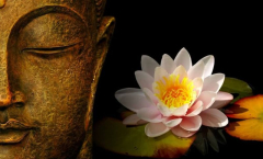 Luận bàn về Tham - Sân - Si trong đời sống