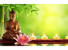 Thiền định và tu tâm: Chuyến hành trình quay về ngôi nhà bên trong